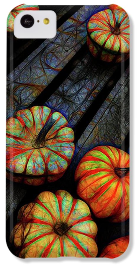 Colorful Fall Gourds - Phone Case