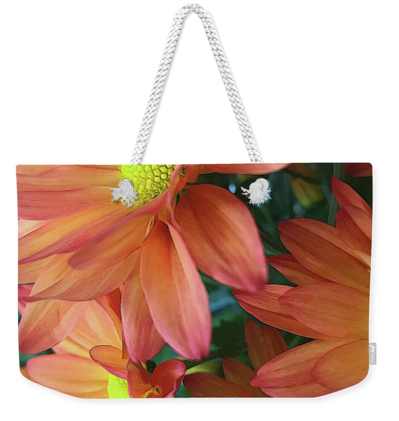 Cream and Pink Daisies Close Up - Weekender Tote Bag