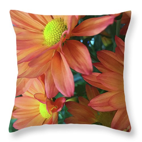 Cream and Pink Daisies Close Up - Throw Pillow