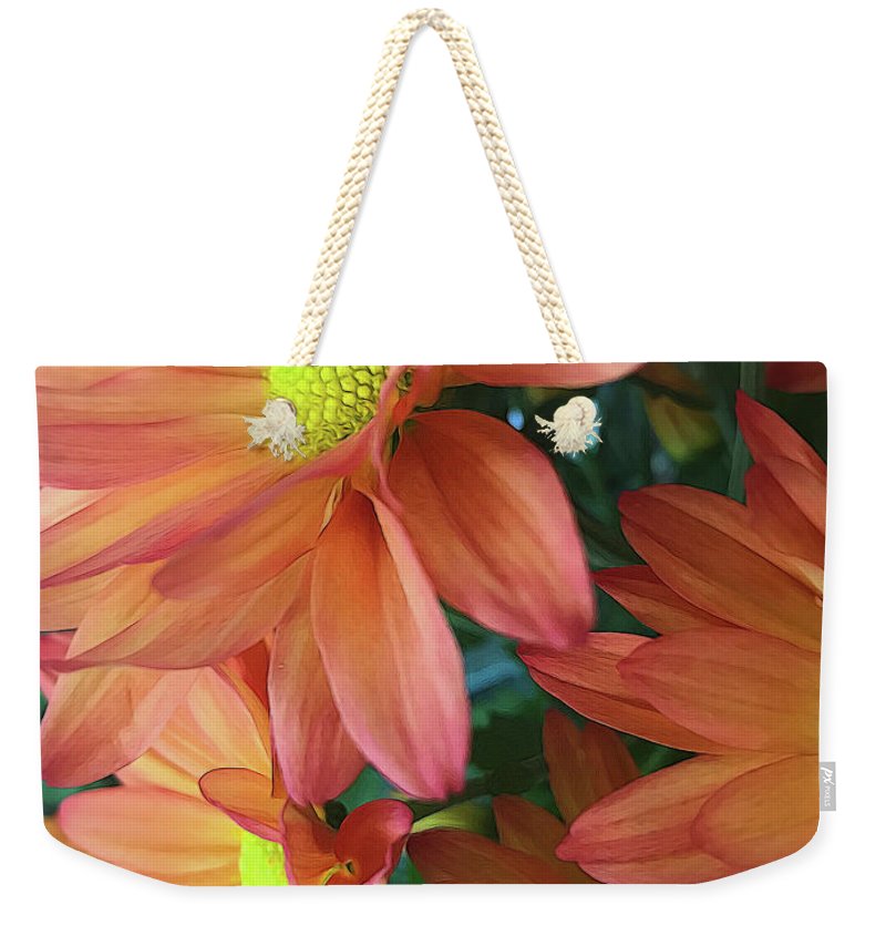 Cream and Pink Daisies Close Up - Weekender Tote Bag