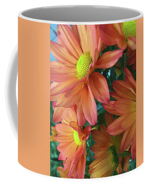 Cream and Pink Daisies Close Up - Mug