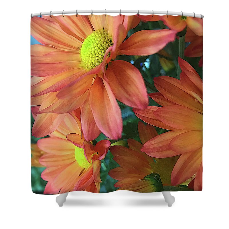 Cream and Pink Daisies Close Up - Shower Curtain