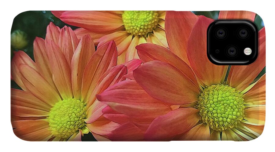 Cream And Pink Three Flower Close Up - Phone Case