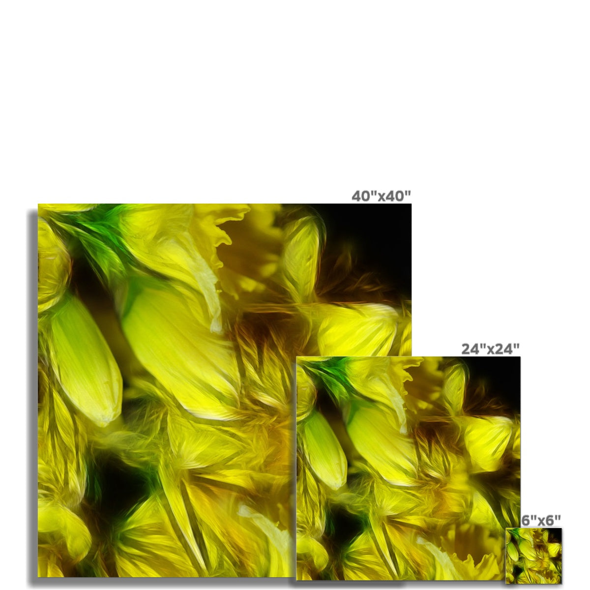 Abstract Yellow Daffodils Fine Art Print