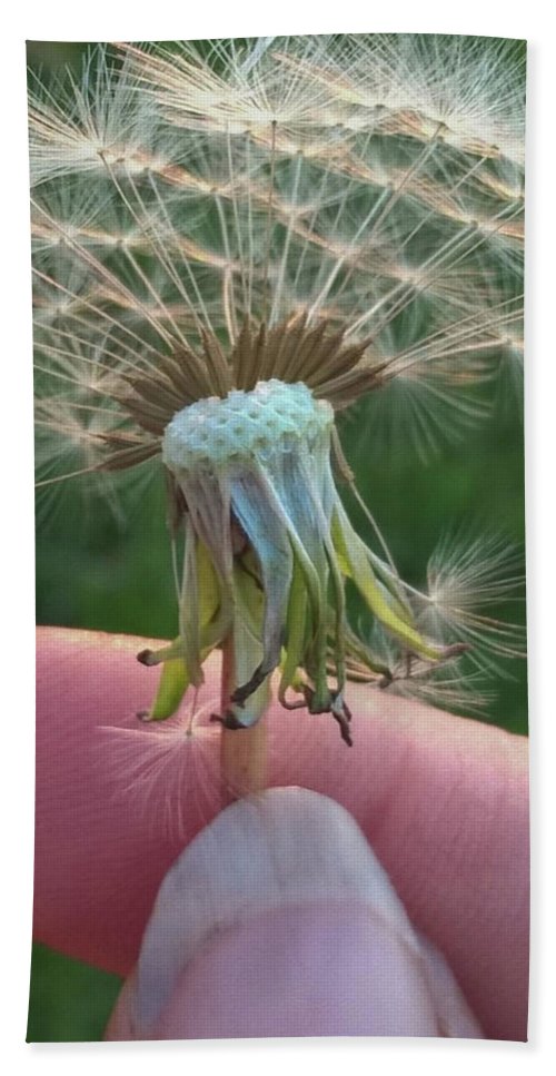 Dandelion Wish - Beach Towel