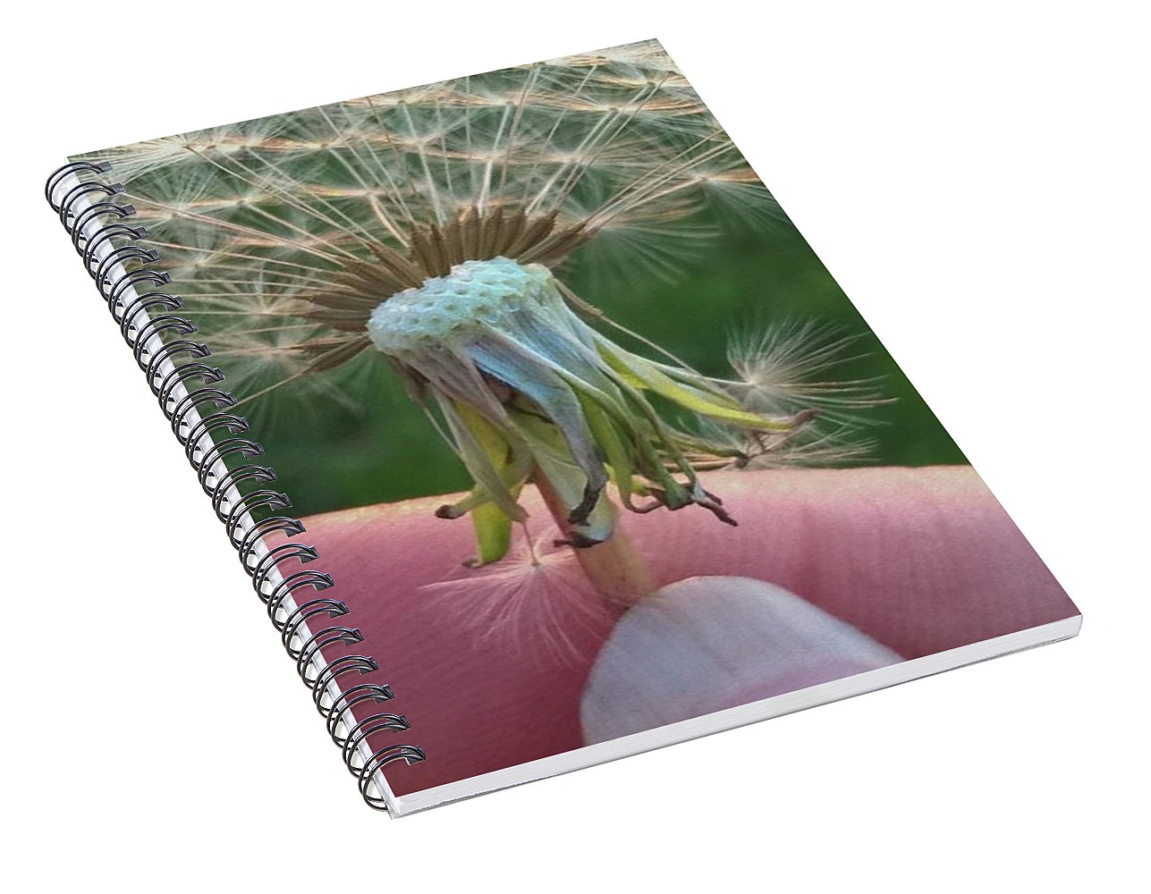 Dandelion Wish - Spiral Notebook