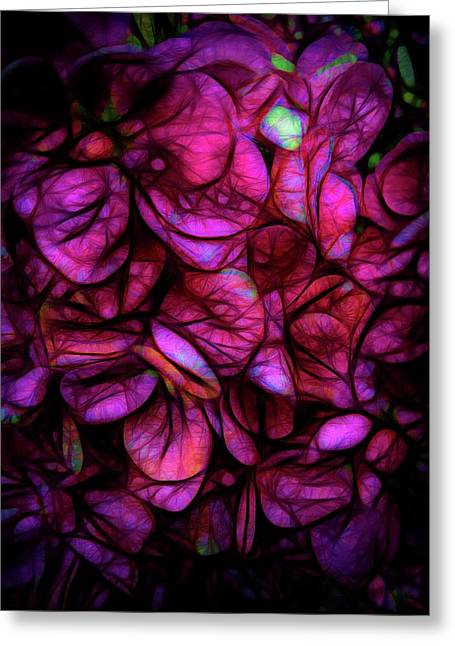 Dark Pink Flower Background - Greeting Card