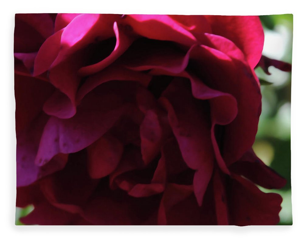 Dark Pink Flower - Blanket