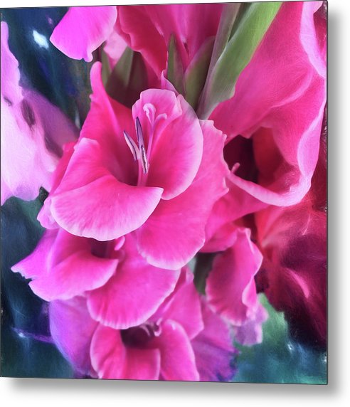 Dark Pink Gladiolas - Metal Print