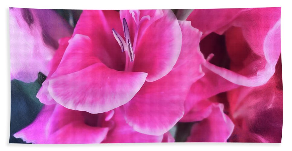 Dark Pink Gladiolas - Bath Towel