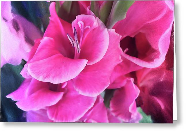 Dark Pink Gladiolas - Greeting Card
