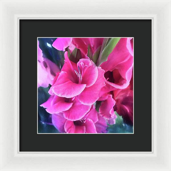 Dark Pink Gladiolas - Framed Print