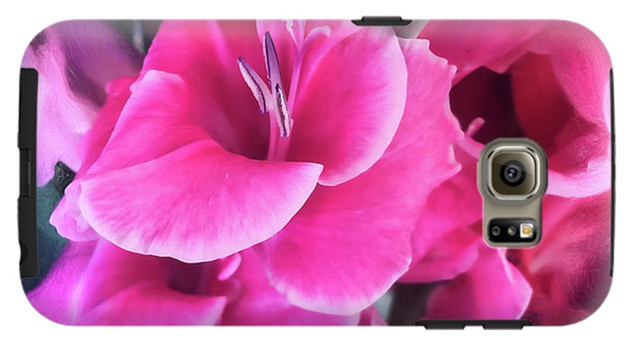 Dark Pink Gladiolas - Phone Case