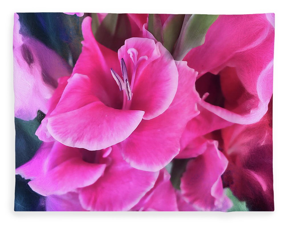 Dark Pink Gladiolas - Blanket