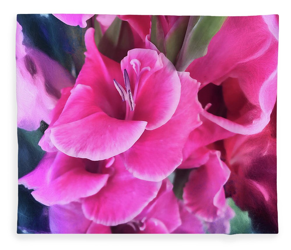 Dark Pink Gladiolas - Blanket