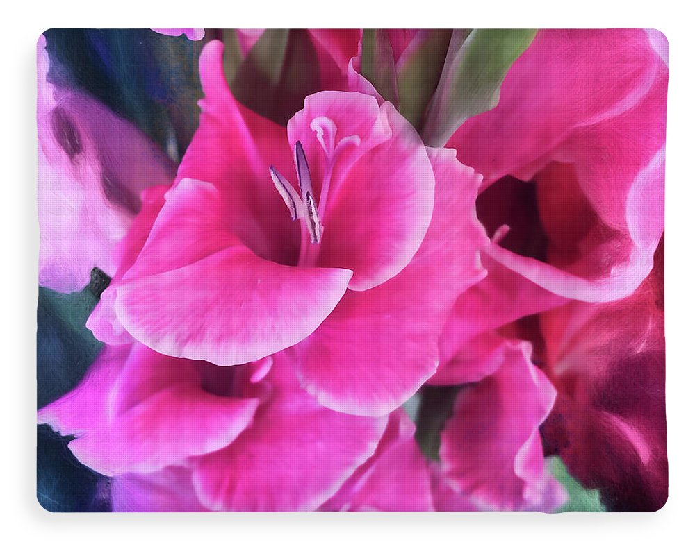 Dark Pink Gladiolas - Blanket