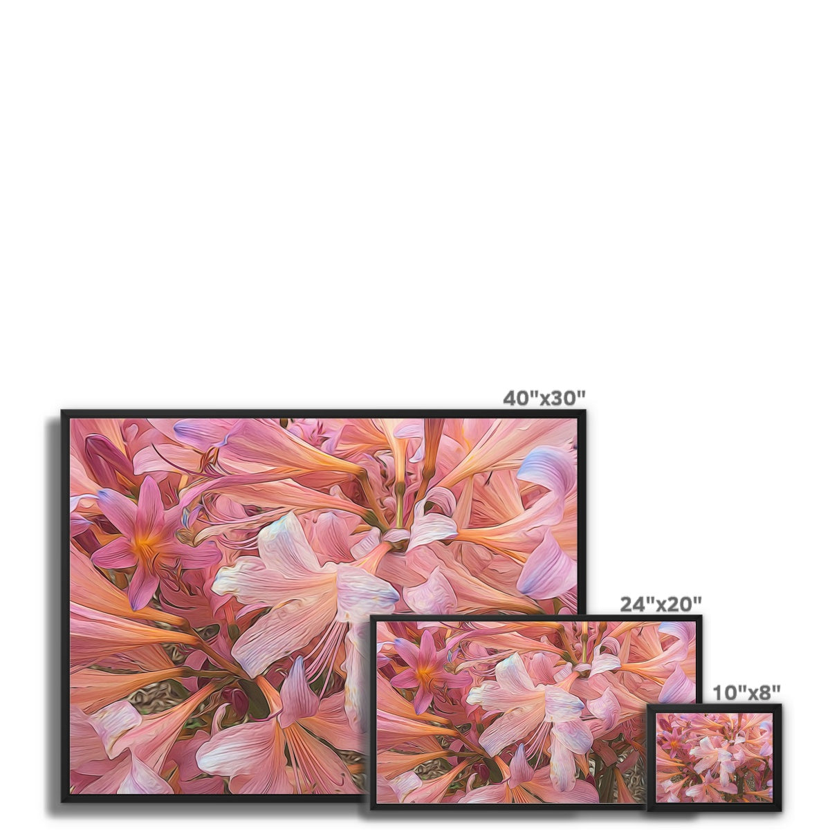 Pink Amaryllis Framed Canvas