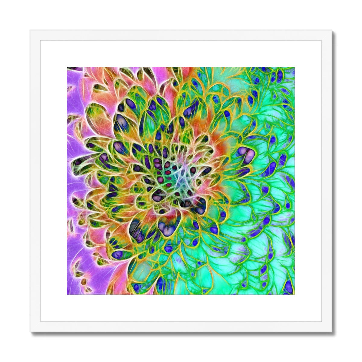 Abstract Peacock Chrysanthemum Framed & Mounted Print