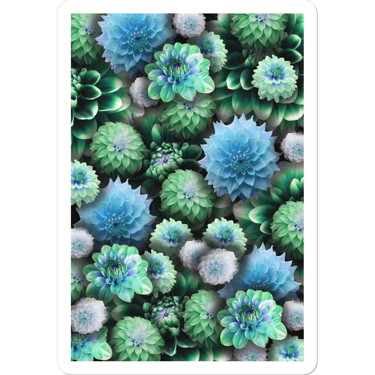 Blue Green Dahlias Sticker