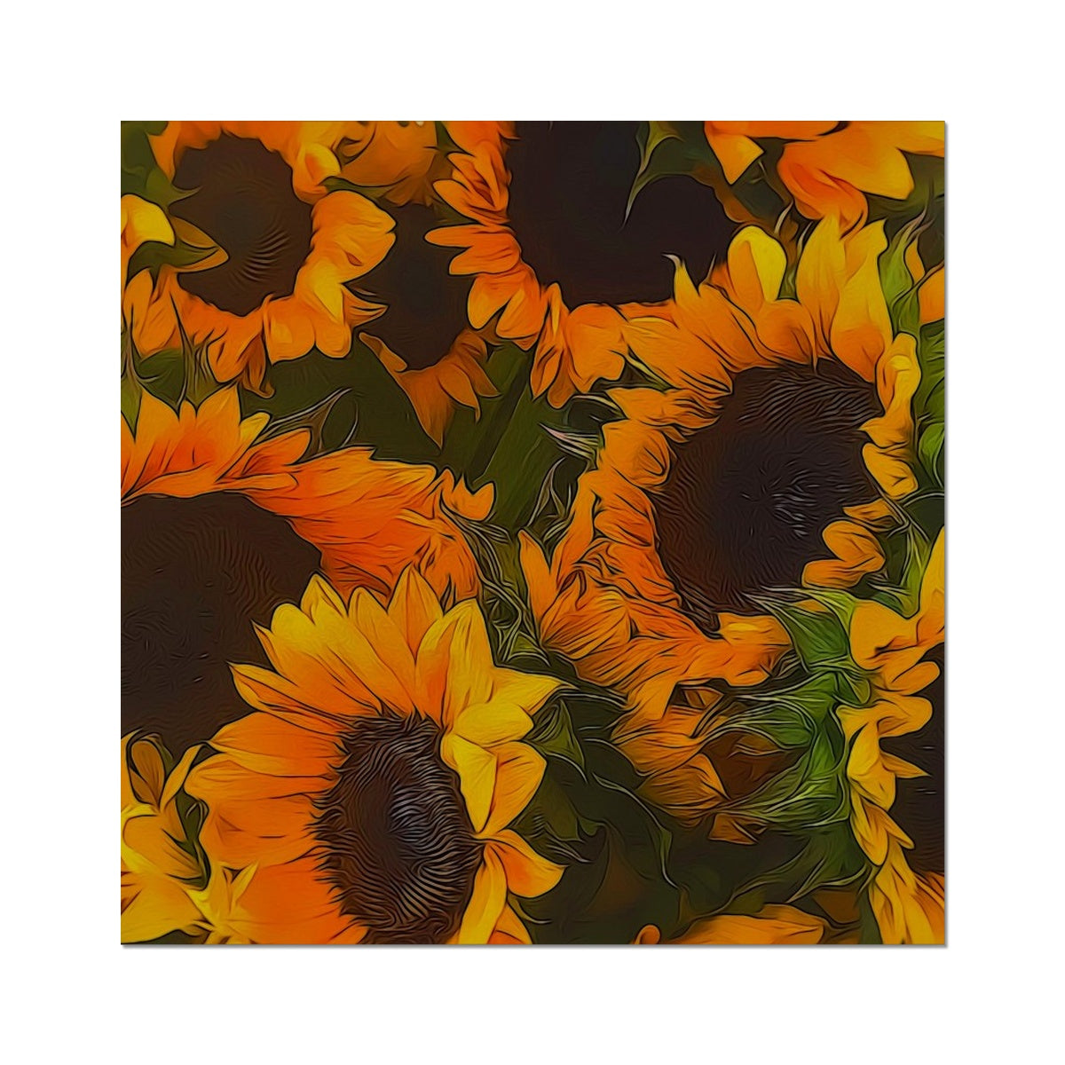 Sunflowers Hahnemühle Photo Rag Print