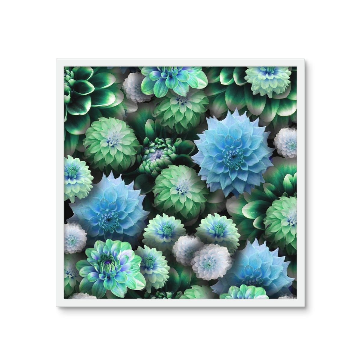 Blue Green Dahlias Framed Photo Tile