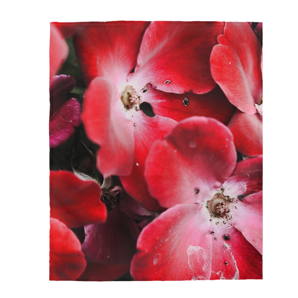 Bright Red Flowers Velveteen Plush Blanket
