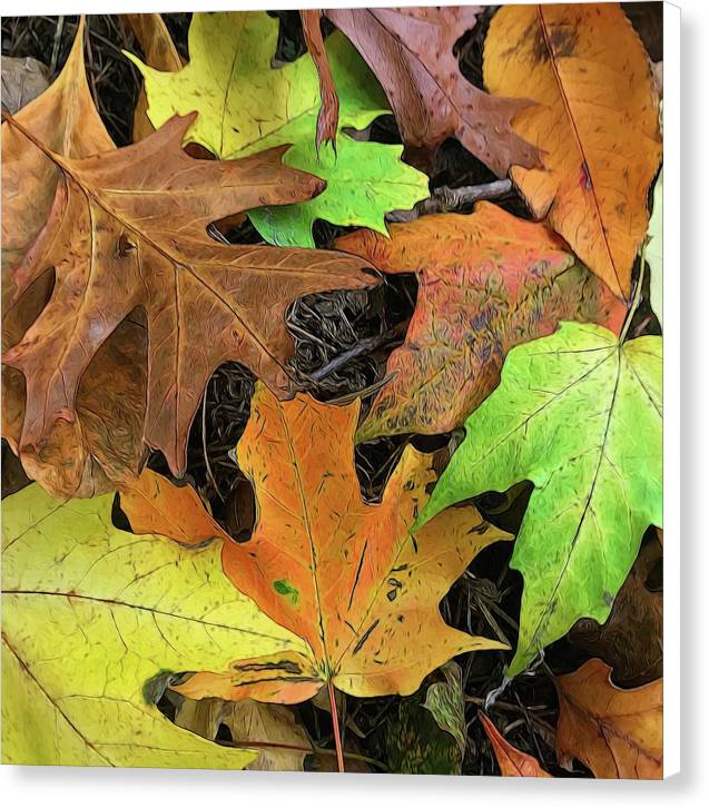 Early October Leaves 1 - Canvas Print