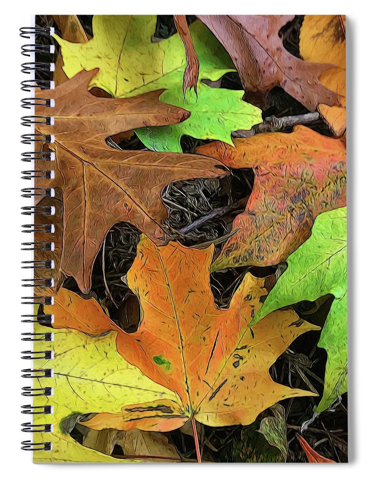 Early October Leaves 1 - Spiral Notebook