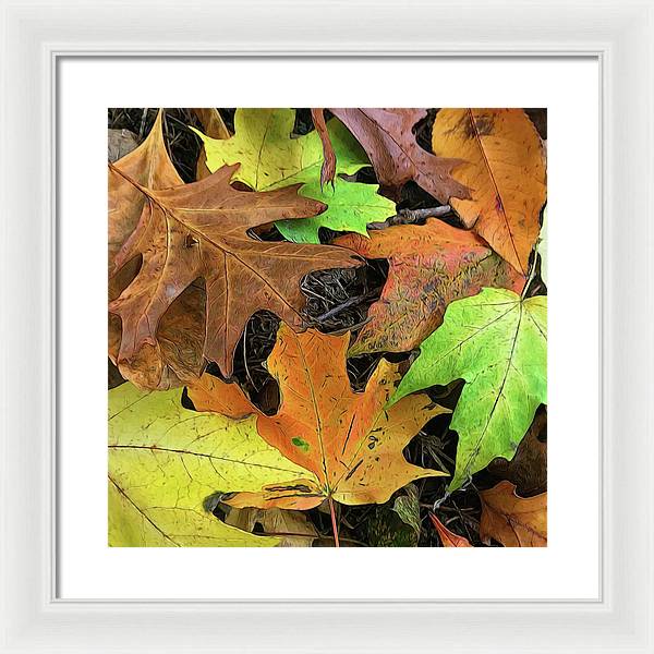 Early October Leaves 1 - Framed Print