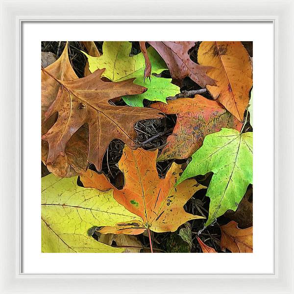 Early October Leaves 1 - Framed Print