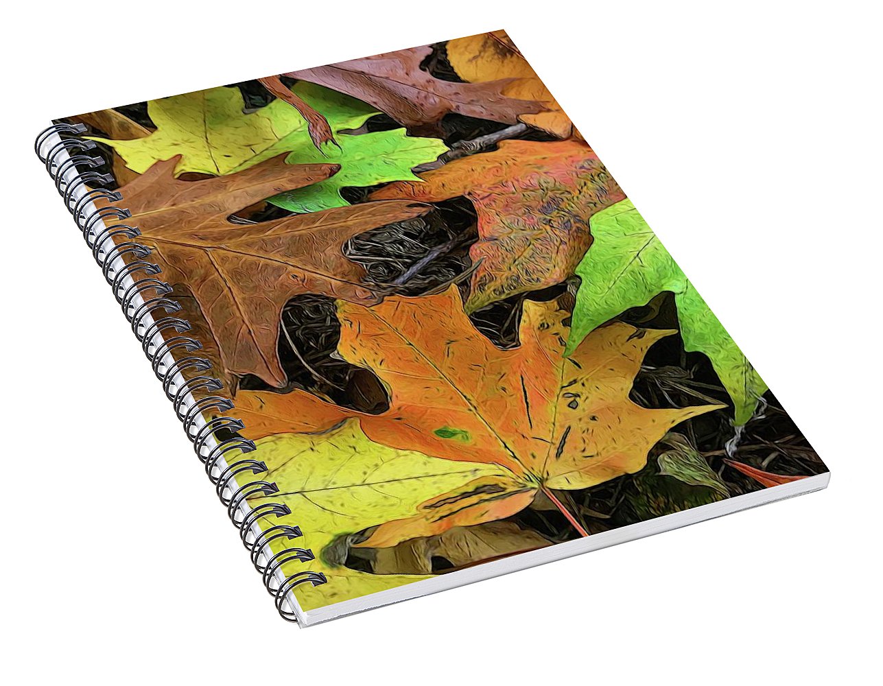 Early October Leaves 1 - Spiral Notebook