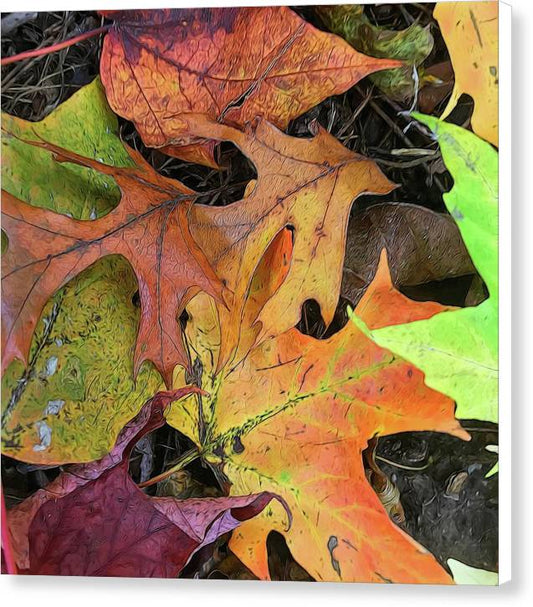 Early October Leaves 2 - Canvas Print