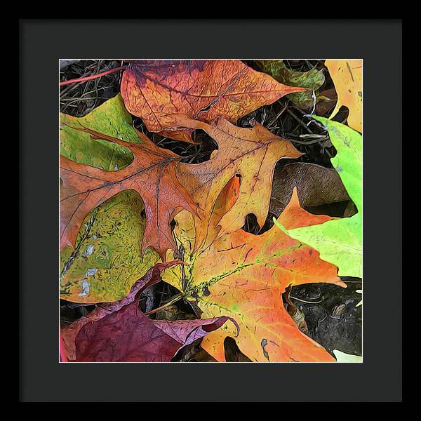 Early October Leaves 2 - Framed Print