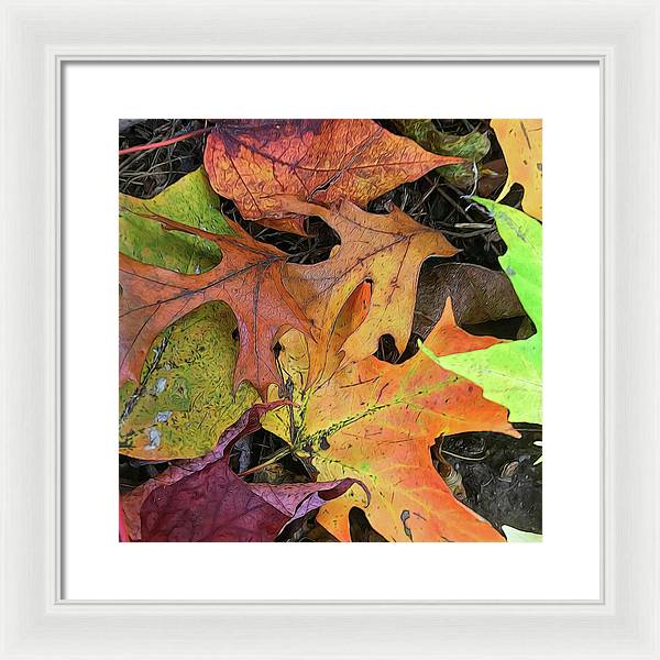 Early October Leaves 2 - Framed Print