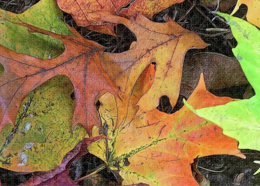 Early October Leaves 2 - Puzzle