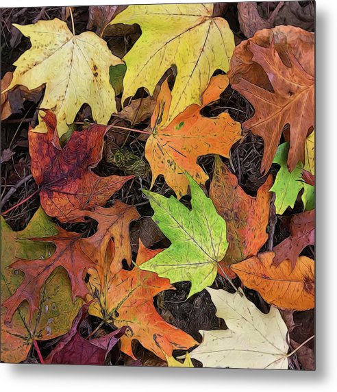 Early October Leaves 3 - Metal Print