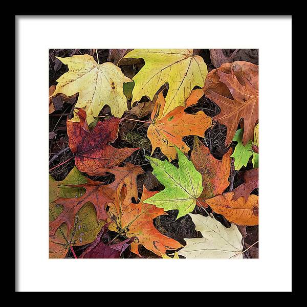 Early October Leaves 3 - Framed Print