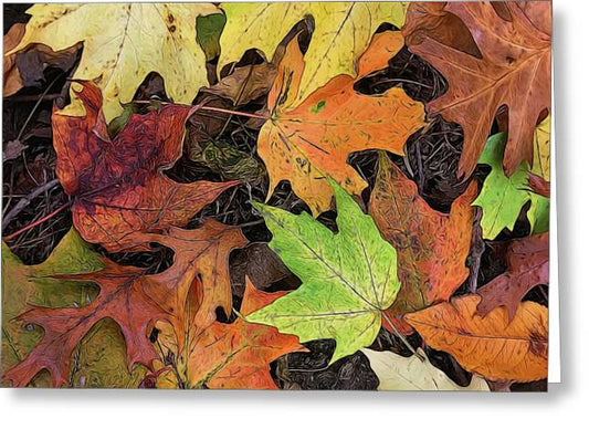 Early October Leaves 3 - Greeting Card