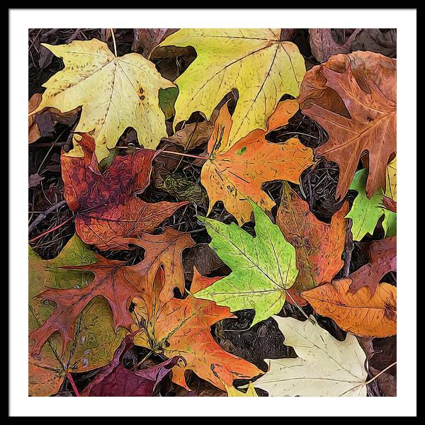 Early October Leaves 3 - Framed Print