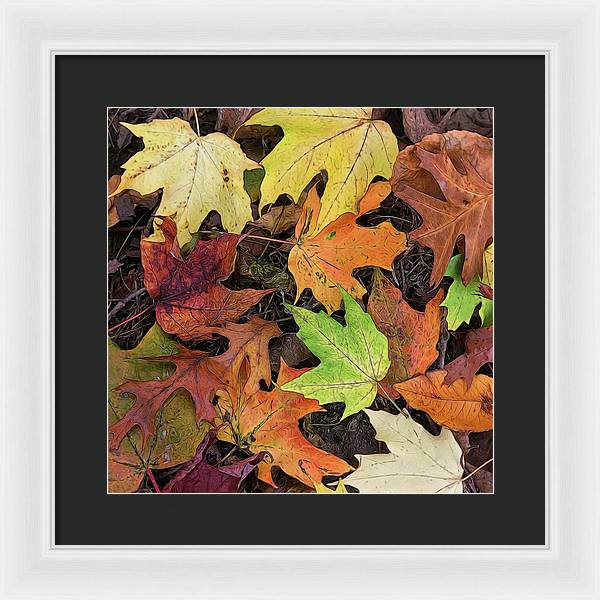 Early October Leaves 3 - Framed Print