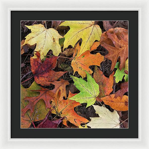 Early October Leaves 3 - Framed Print