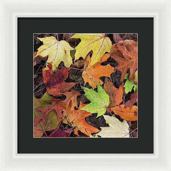 Early October Leaves 3 - Framed Print