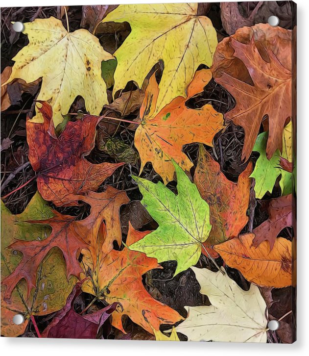 Early October Leaves 3 - Acrylic Print