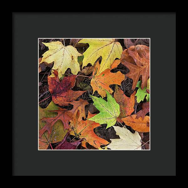 Early October Leaves 3 - Framed Print