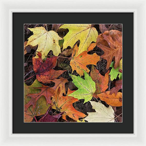 Early October Leaves 3 - Framed Print