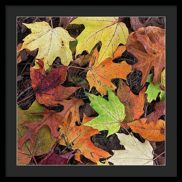 Early October Leaves 3 - Framed Print