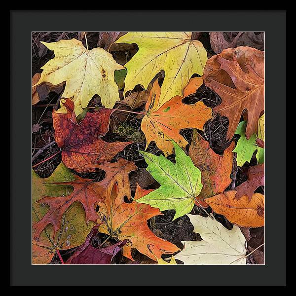 Early October Leaves 3 - Framed Print