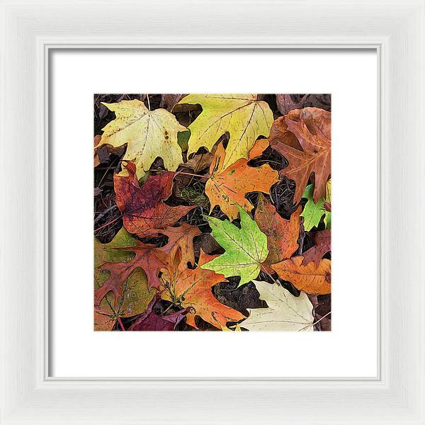 Early October Leaves 3 - Framed Print
