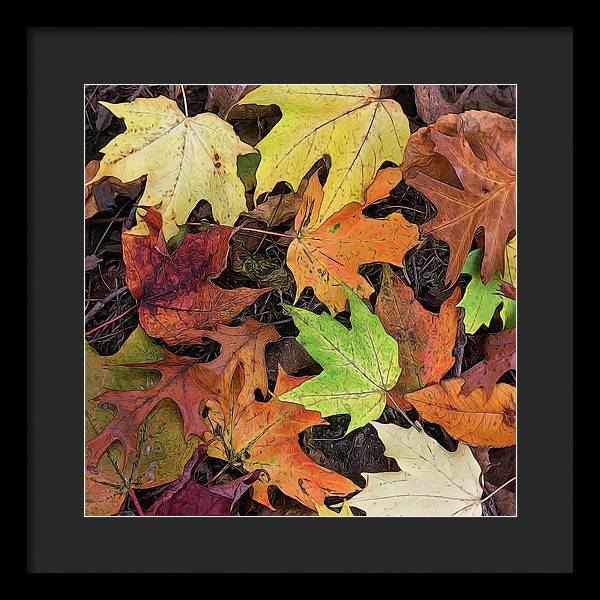 Early October Leaves 3 - Framed Print