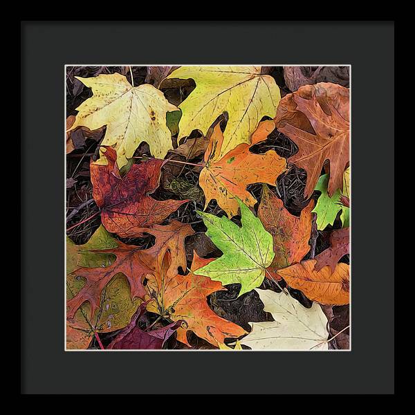 Early October Leaves 3 - Framed Print